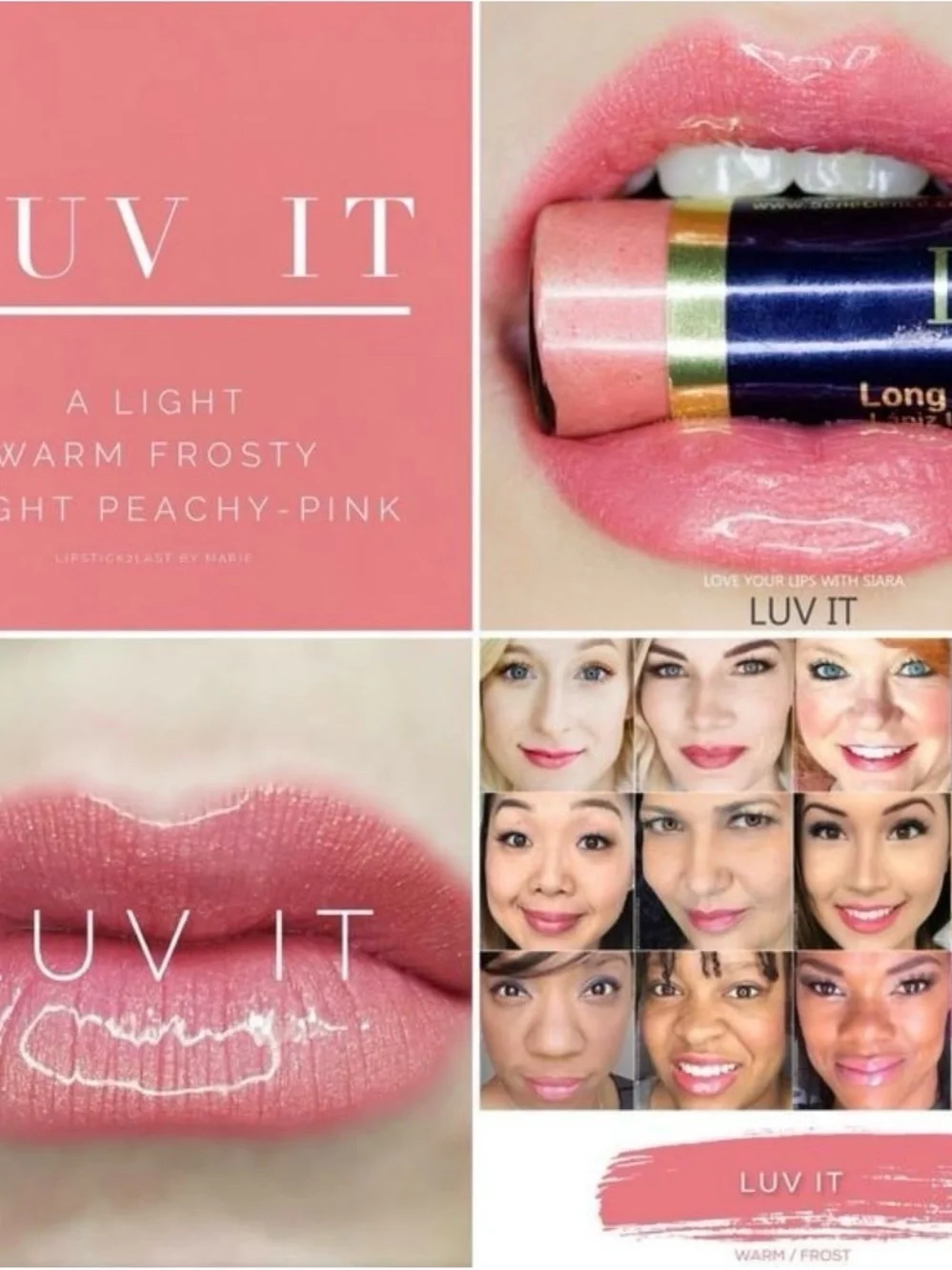 Lipsense by SeneGence LUV IT never opened full sized tube long lasting lipstick